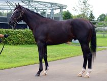 ����å��ǳ��������ɽ�����ޤ�