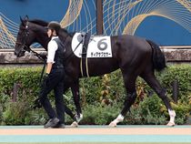 ����å��ǳ��������ɽ�����ޤ�