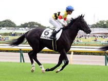 ����å��ǳ��������ɽ�����ޤ�