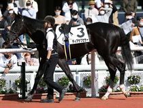 ����å��ǳ��������ɽ�����ޤ�