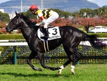 ����å��ǳ��������ɽ�����ޤ�