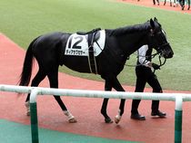 ����å��ǳ��������ɽ�����ޤ�