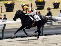 ����å��ǳ��������ɽ�����ޤ�