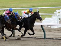 ����å��ǳ��������ɽ�����ޤ�