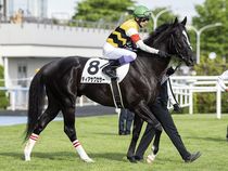 ����å��ǳ��������ɽ�����ޤ�