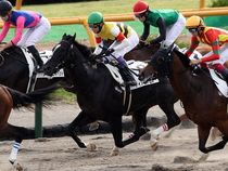 ����å��ǳ��������ɽ�����ޤ�