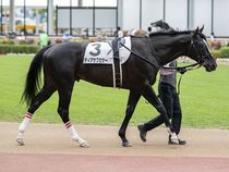 ����å��ǳ��������ɽ�����ޤ�