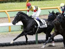 ����å��ǳ��������ɽ�����ޤ�