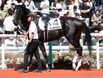 ����å��ǳ��������ɽ�����ޤ�