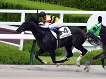 ����å��ǳ��������ɽ�����ޤ�