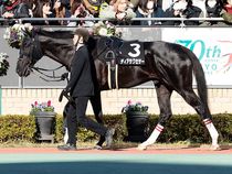 ����å��ǳ��������ɽ�����ޤ�