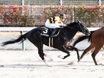 ����å��ǳ��������ɽ�����ޤ�