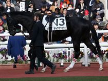 ����å��ǳ��������ɽ�����ޤ�