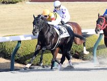 ����å��ǳ��������ɽ�����ޤ�