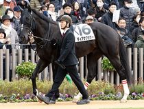 ����å��ǳ��������ɽ�����ޤ�