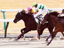 ����å��ǳ��������ɽ�����ޤ�