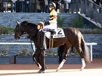 ����å��ǳ��������ɽ�����ޤ�