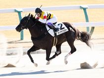 ����å��ǳ��������ɽ�����ޤ�