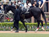 ����å��ǳ��������ɽ�����ޤ�