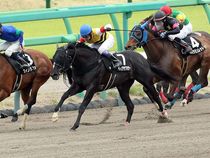 ����å��ǳ��������ɽ�����ޤ�