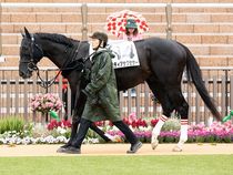 ����å��ǳ��������ɽ�����ޤ�