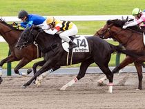 ����å��ǳ��������ɽ�����ޤ�