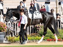 ����å��ǳ��������ɽ�����ޤ�