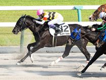 ����å��ǳ��������ɽ�����ޤ�