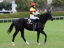 ����å��ǳ��������ɽ�����ޤ�