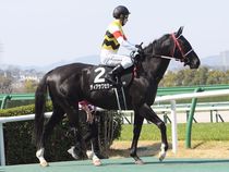 ����å��ǳ��������ɽ�����ޤ�