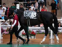 ����å��ǳ��������ɽ�����ޤ�