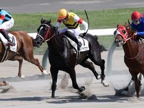 ����å��ǳ��������ɽ�����ޤ�