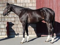 ����å��ǳ��������ɽ�����ޤ�