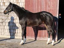 ����å��ǳ��������ɽ�����ޤ�