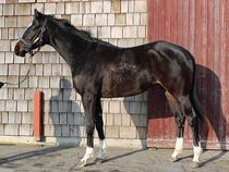 ����å��ǳ��������ɽ�����ޤ�