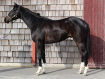 ����å��ǳ��������ɽ�����ޤ�