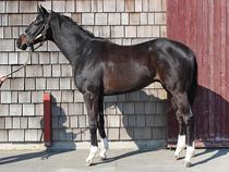 ����å��ǳ��������ɽ�����ޤ�