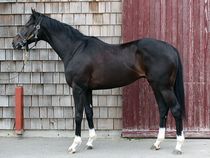 ����å��ǳ��������ɽ�����ޤ�