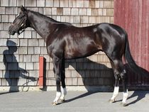 ����å��ǳ��������ɽ�����ޤ�