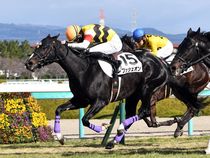 ����å��ǳ��������ɽ�����ޤ�