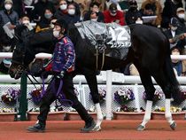 ����å��ǳ��������ɽ�����ޤ�