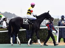 ����å��ǳ��������ɽ�����ޤ�