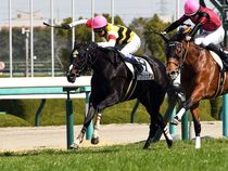 ����å��ǳ��������ɽ�����ޤ�