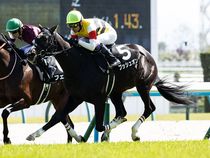 ����å��ǳ��������ɽ�����ޤ�