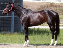 ����å��ǳ��������ɽ�����ޤ�