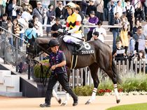 ����å��ǳ��������ɽ�����ޤ�