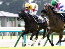 ����å��ǳ��������ɽ�����ޤ�