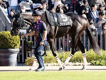 ����å��ǳ��������ɽ�����ޤ�