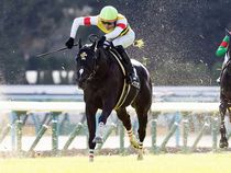 ����å��ǳ��������ɽ�����ޤ�