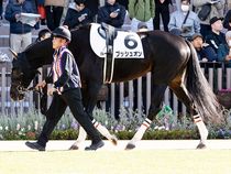 ����å��ǳ��������ɽ�����ޤ�